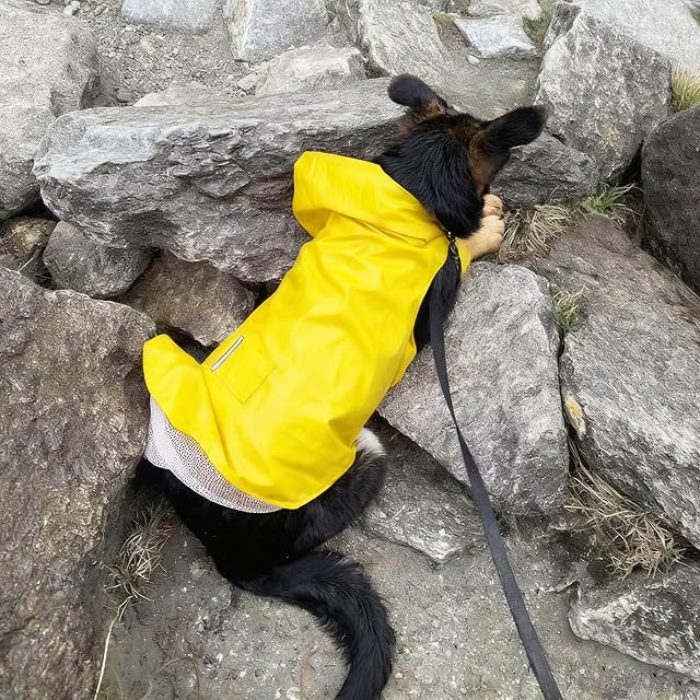 Foto 4 de 7 de Sikweny Chubasquero Perro Chubasquero Impermeable para Perros con Capucha Tiras Reflectoras Seguras Chaqueta…