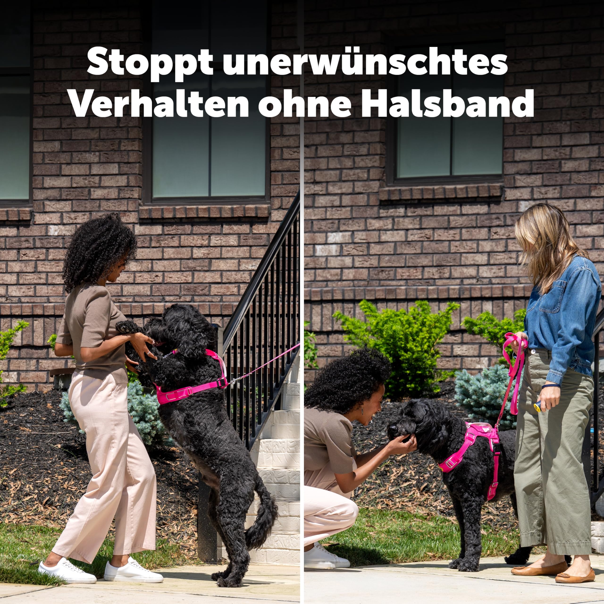 PetSafe Trainer ohne Halsband – Ultraschall-Trainingsgerät – tragbares Anti-Bell-Gerät – Ultraschall-Tonsignal, Blinklicht und Variables Tonsignal – wiederaufladbare Batterie – Taschenlampe