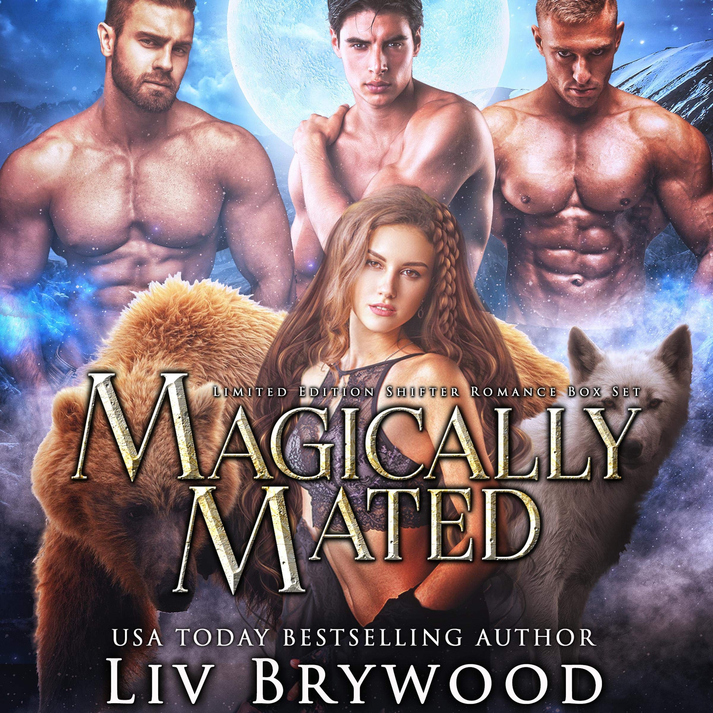 Cover art for Magically Mated