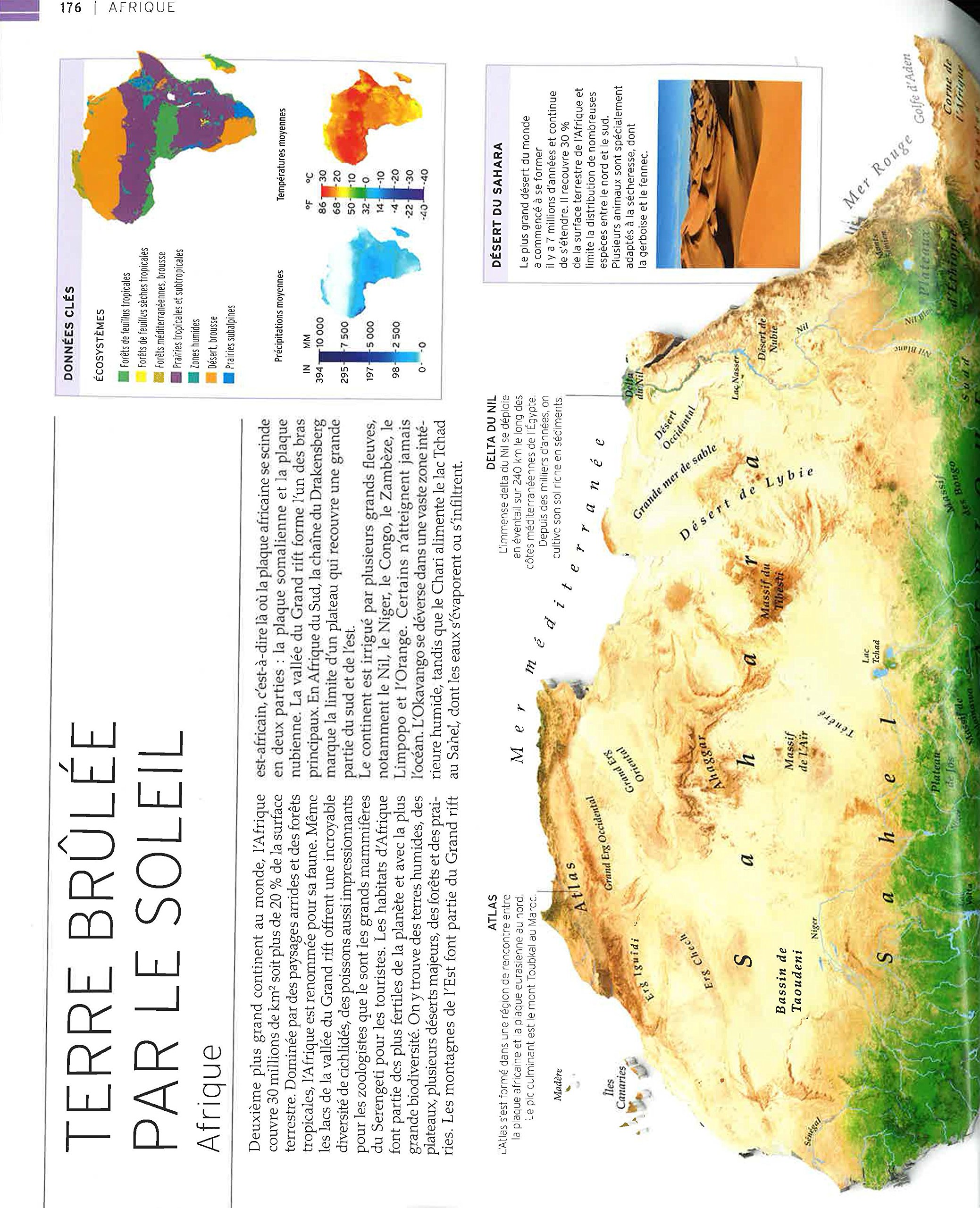 Vie sauvage: Encyclopédie visuelle des animaux, continent par continent