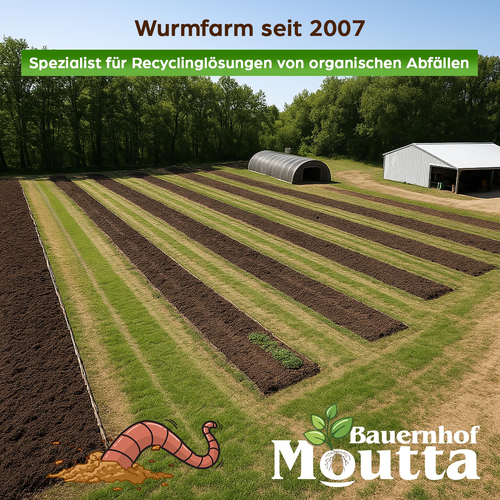 500 Stk. Kompostwürmer (250g) | Regenwürmer Eisenia, kompostieren Sie Ihren organischen Abfall - Für Vermicomposter/Komposter/Garten