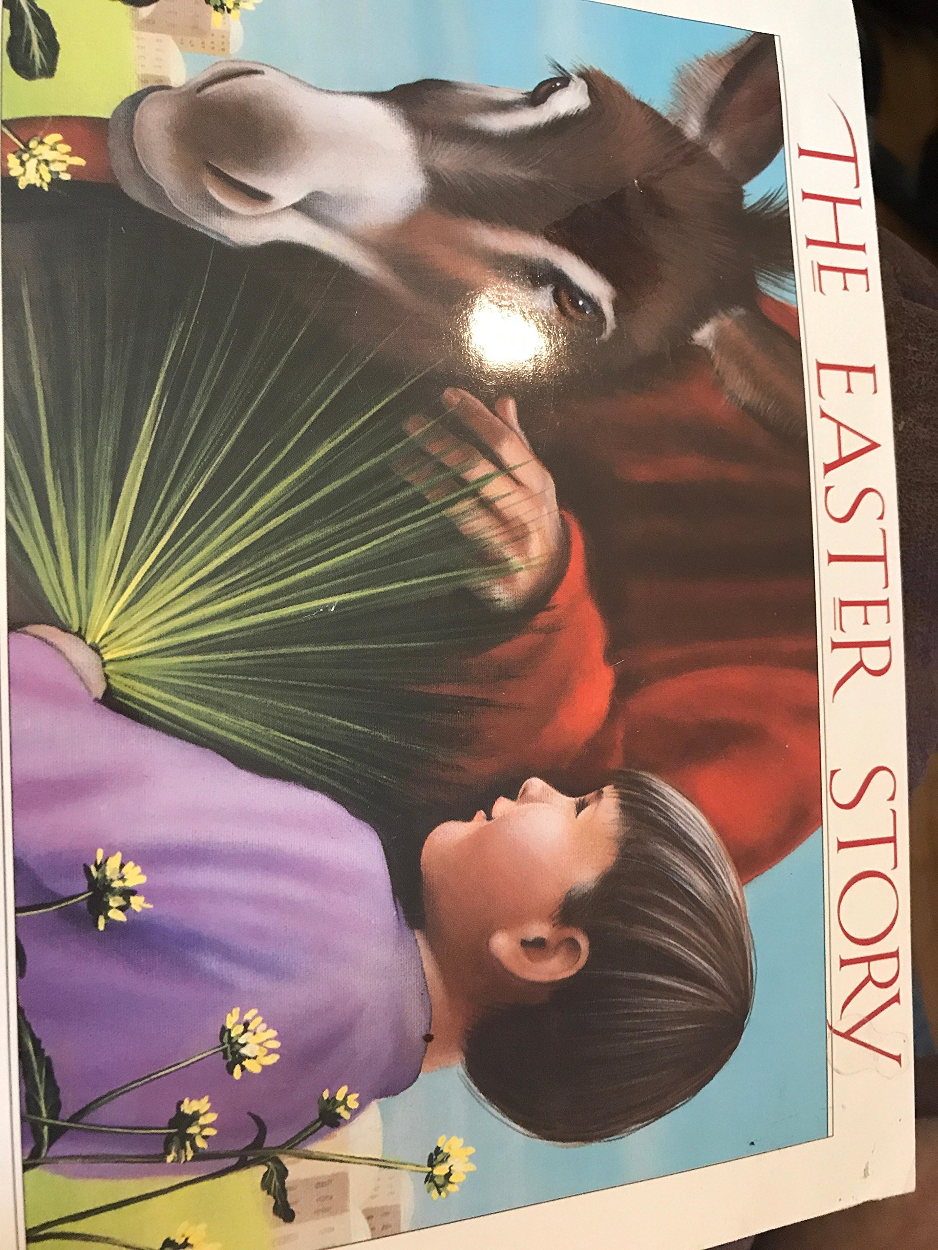 The Easter Story [Paperback] Heyer, Carol