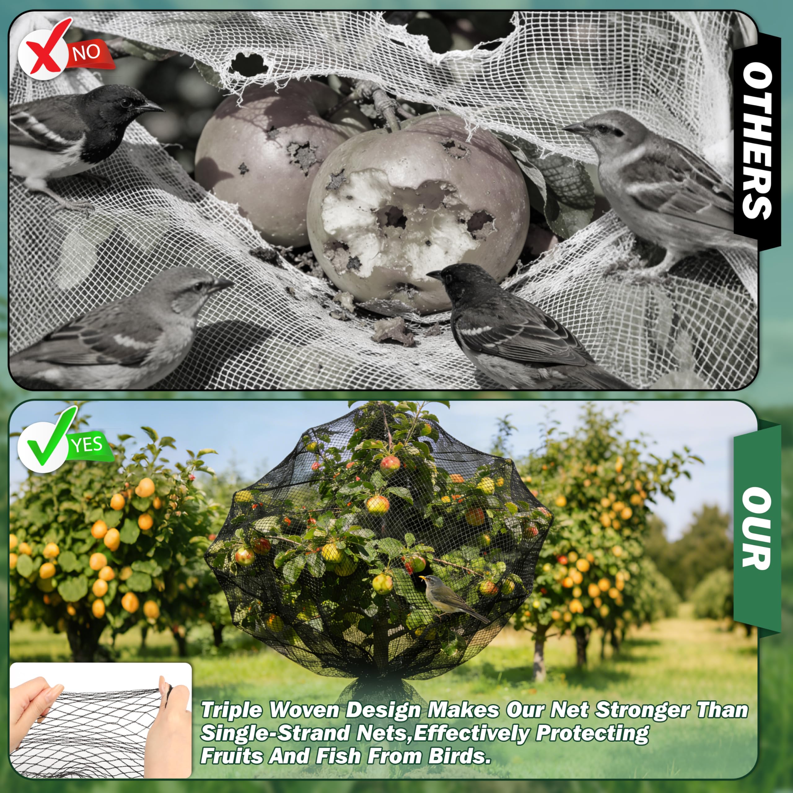 Filet Anti-Oiseaux pour Bassin 8×8m, à Mailles Fines (15×15mm), Anti-Feuilles, 20g/m², Tressé à 3 Brins, avec 20 Piquets de Fixation et 30 Serre-Câbles, pour Jardin et Potager (64m² - 8x8m)