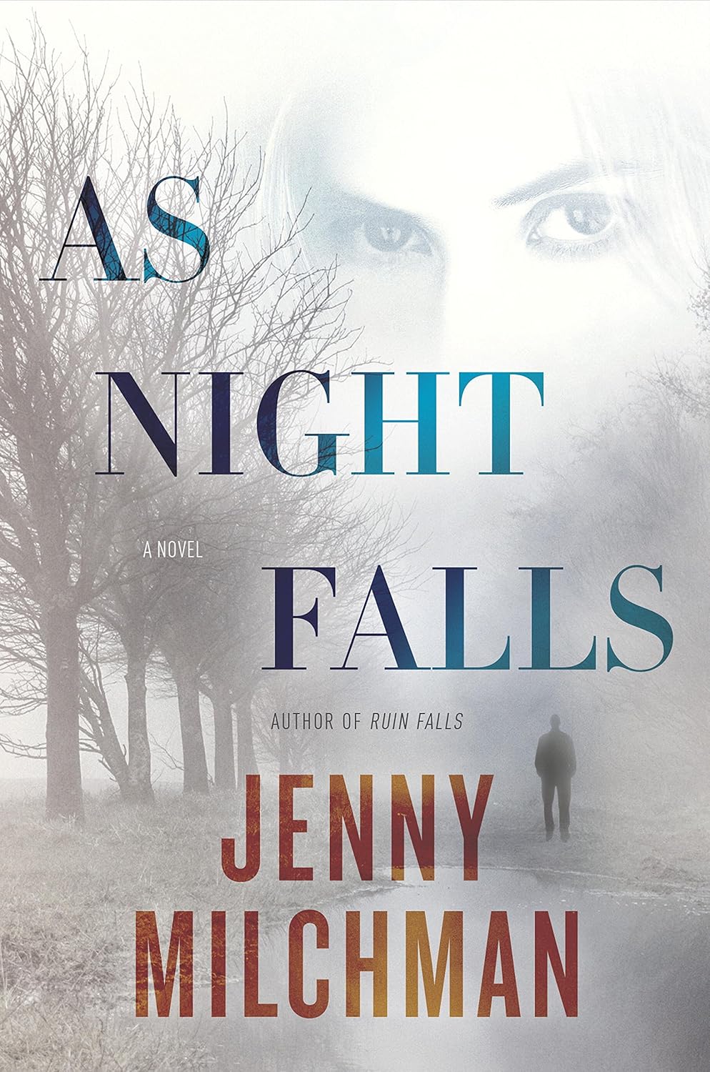 As Night Falls: A Novel      Kindle Edition