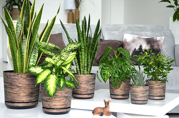 KORAD - Pot de fleurs avec soucoupe intégrée, décor 032, écorce rouille, diamètre 26 cm, pot pour plantes, en plastique, de haute qualité, décoratif avec trous de drainage - 2