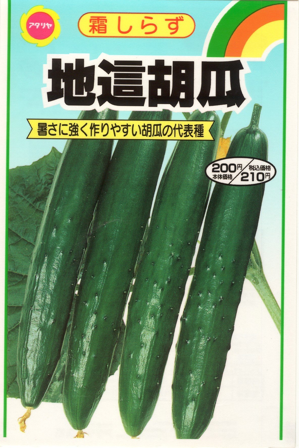 Amazon | アタリヤ農園 種 霜知らず地這胡瓜 7ml | 野菜