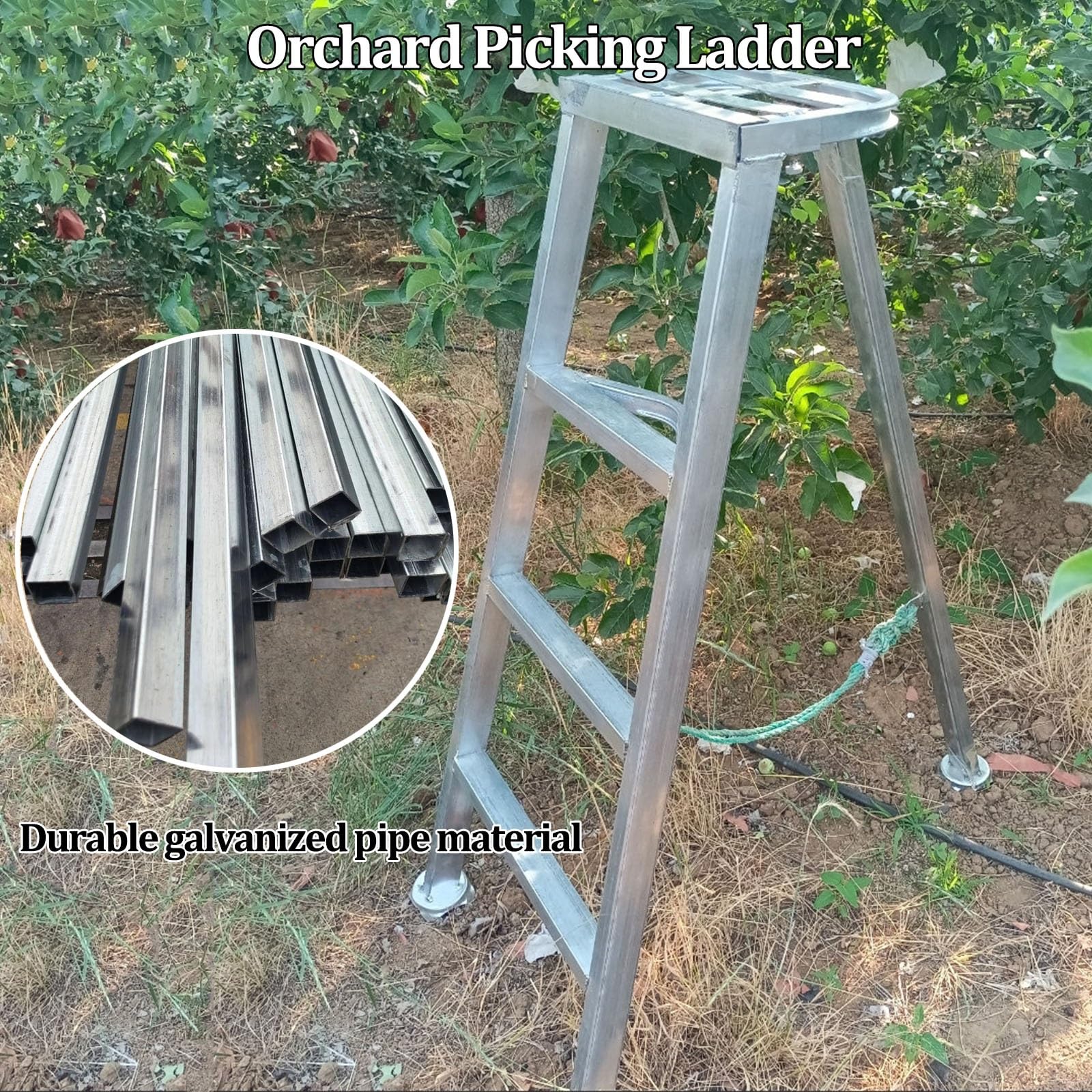 Échelle d'élagage pour terrasse, échelle Pliante Robuste