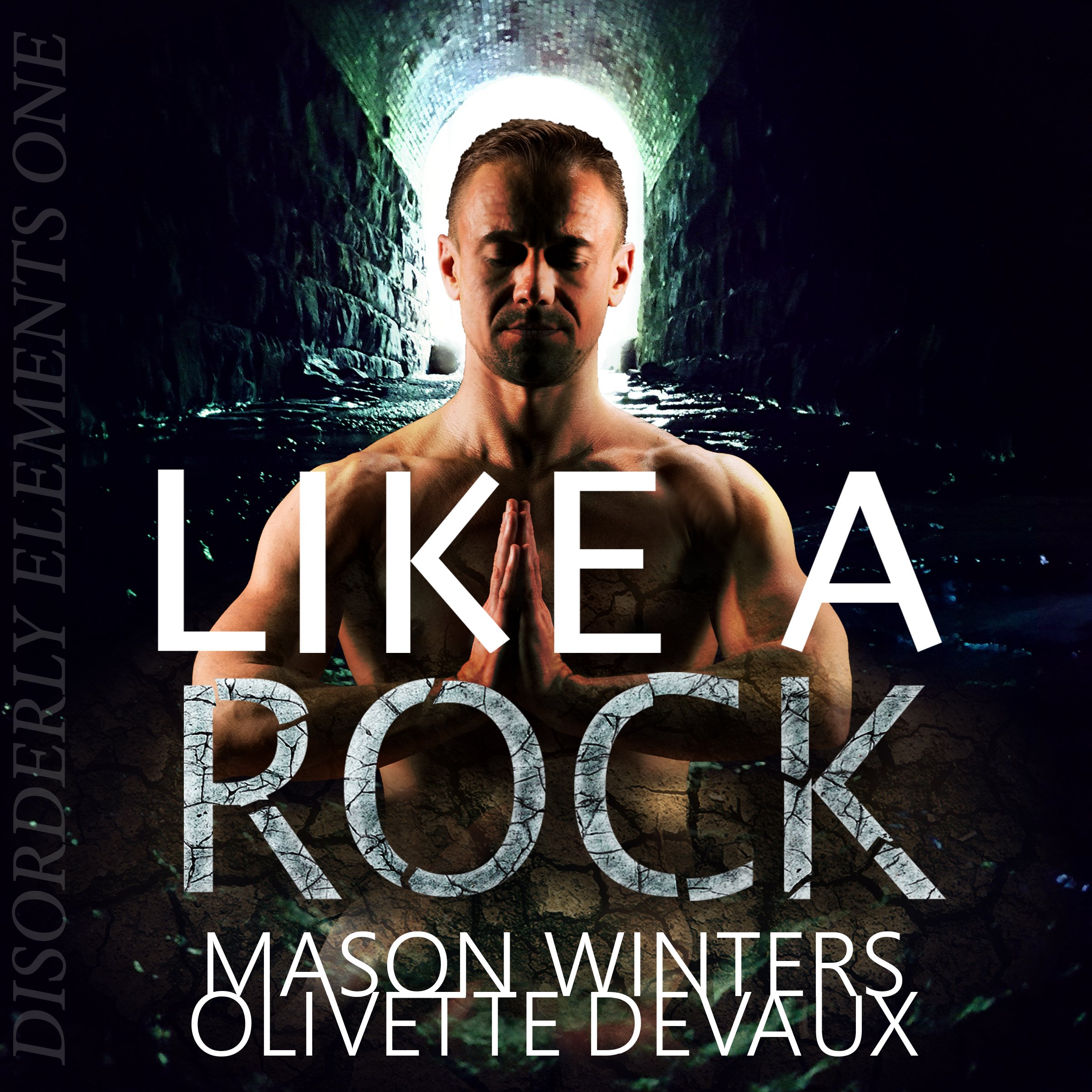 Cover art for Like a Rock