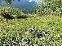 Review Image by David Elmore David Elmore