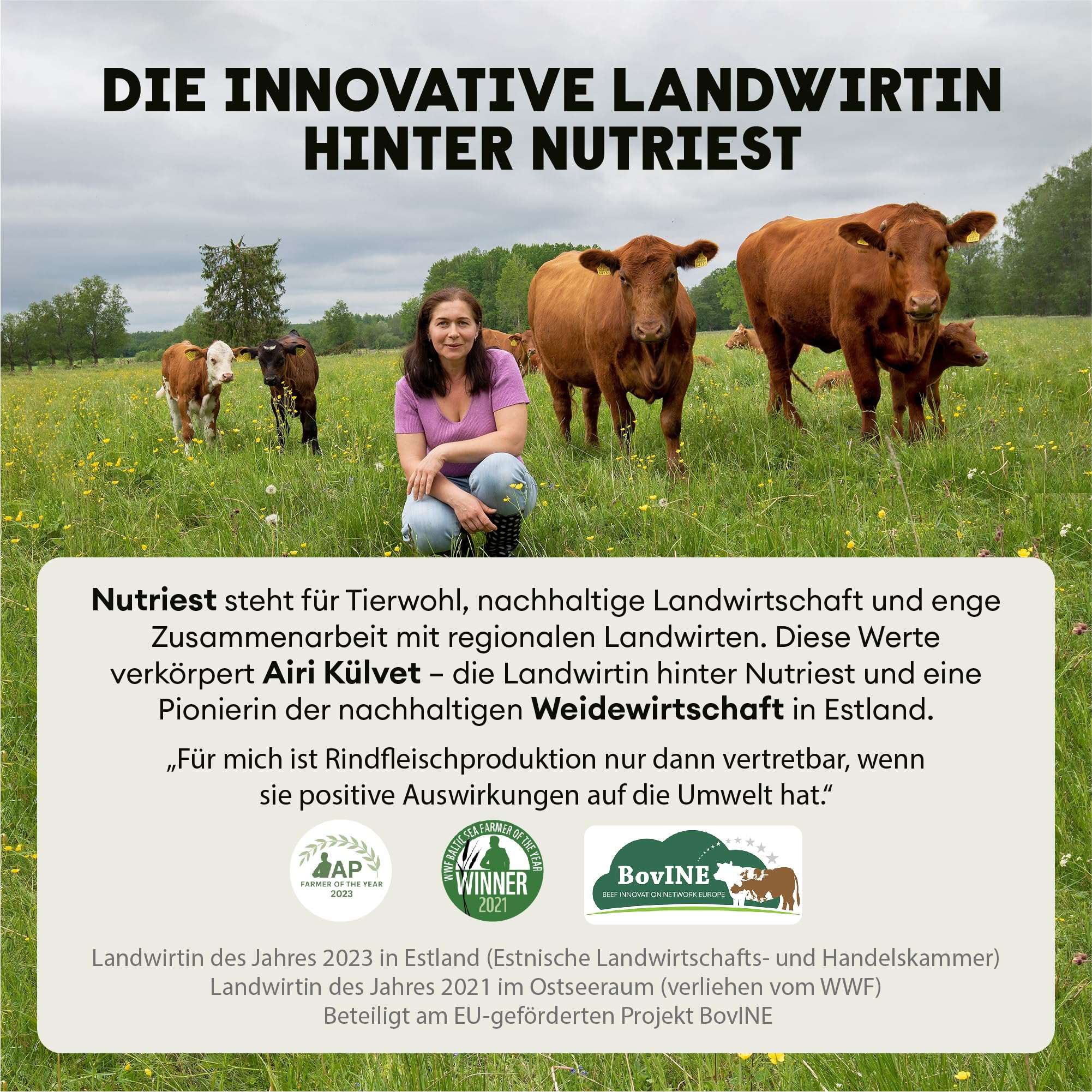 Cápsulas de hígado de res Nutriest (240 cápsulas) complejo de órganos de res 6 en 1 Carne de res orgánica europea alimentada con pasto 100% criada en pastura - Para energía, inmunológico y vitalidad