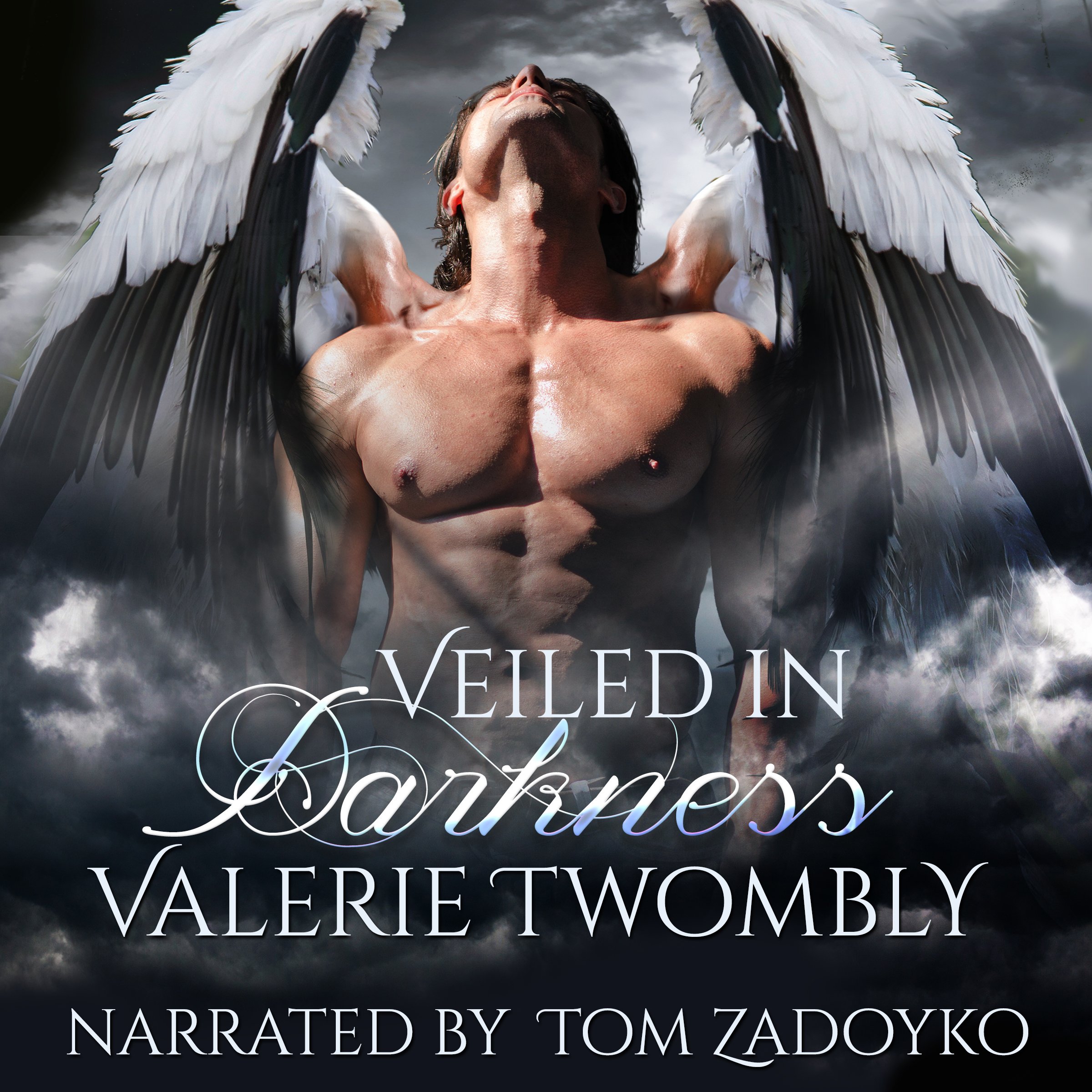 Cover art for Veiled in Darkness