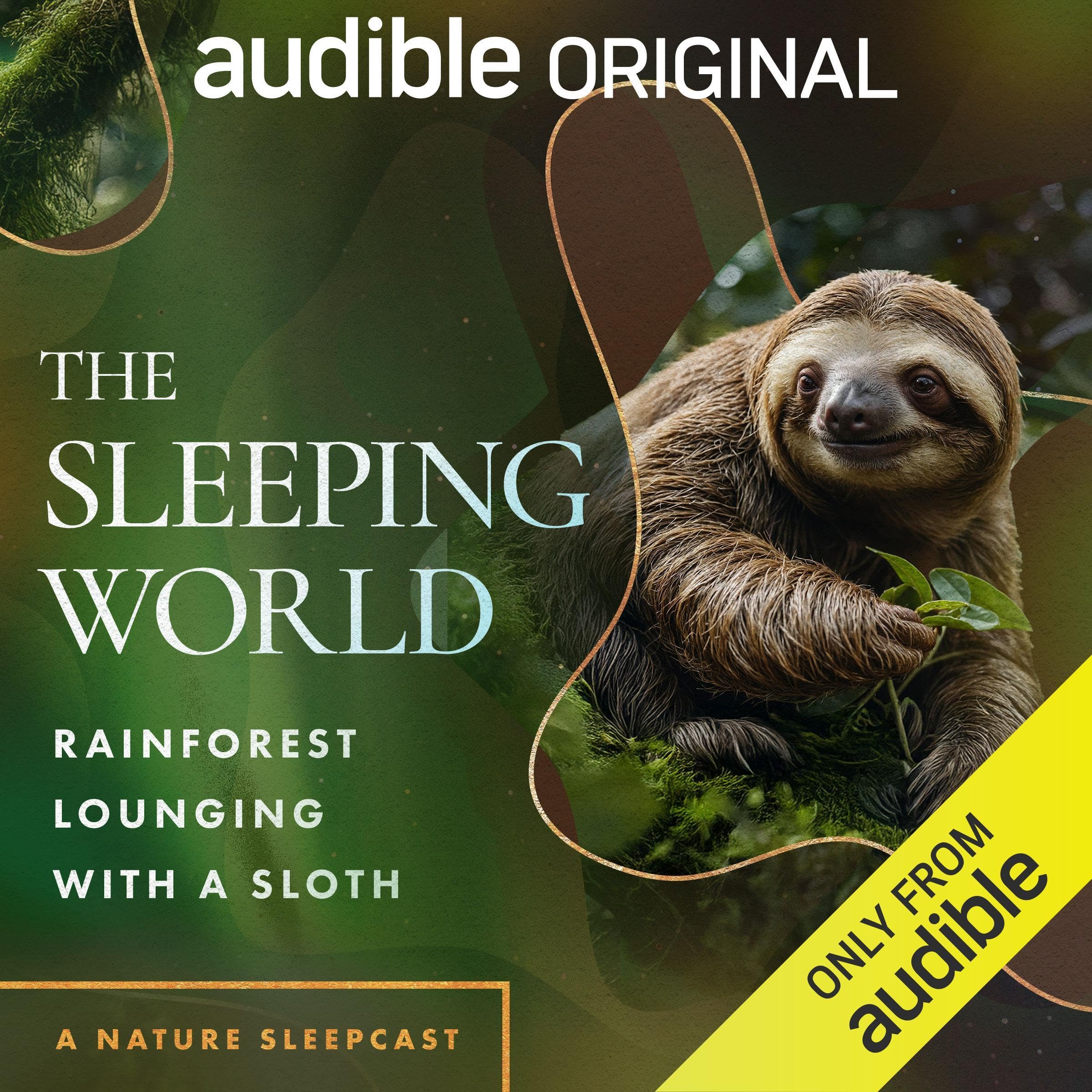Cover art for The Sleeping World: Rainforest Lounging with a Sloth