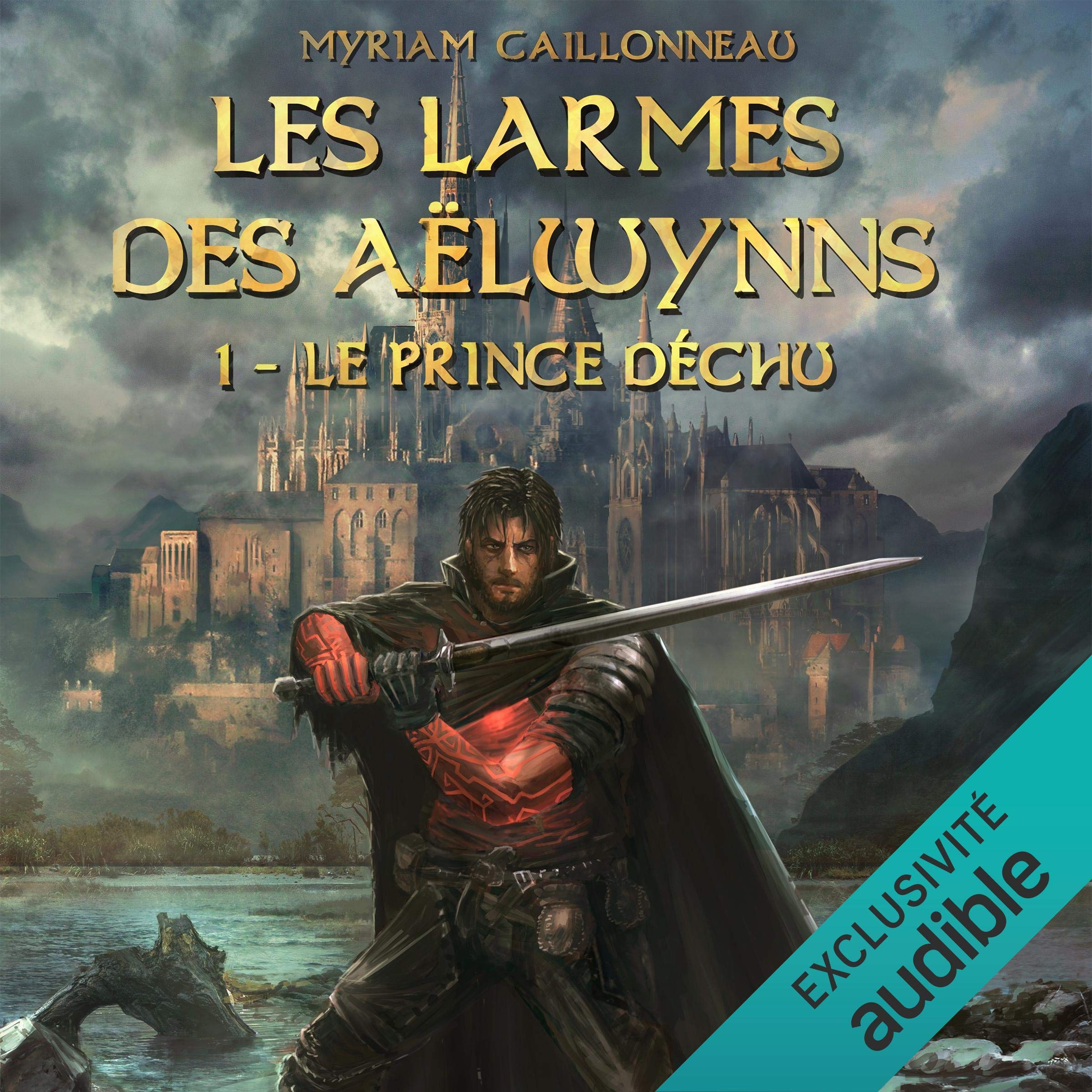 Cover art for Le prince déchu