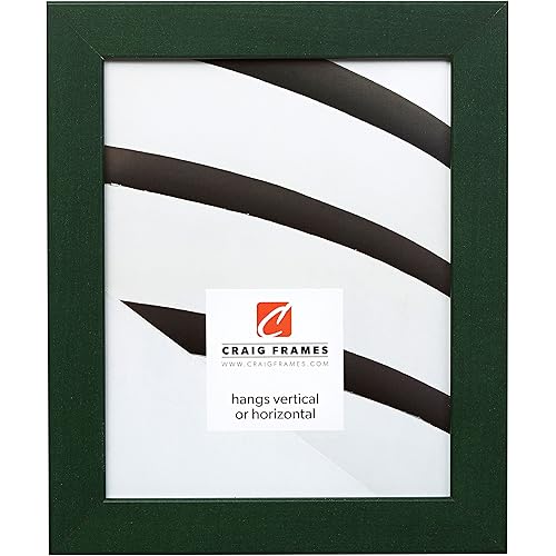 Craig Frames 26026 8 by 10-Inch Picture Frame, Smooth Wrap Finish, 1.26-Inch Wide, Green