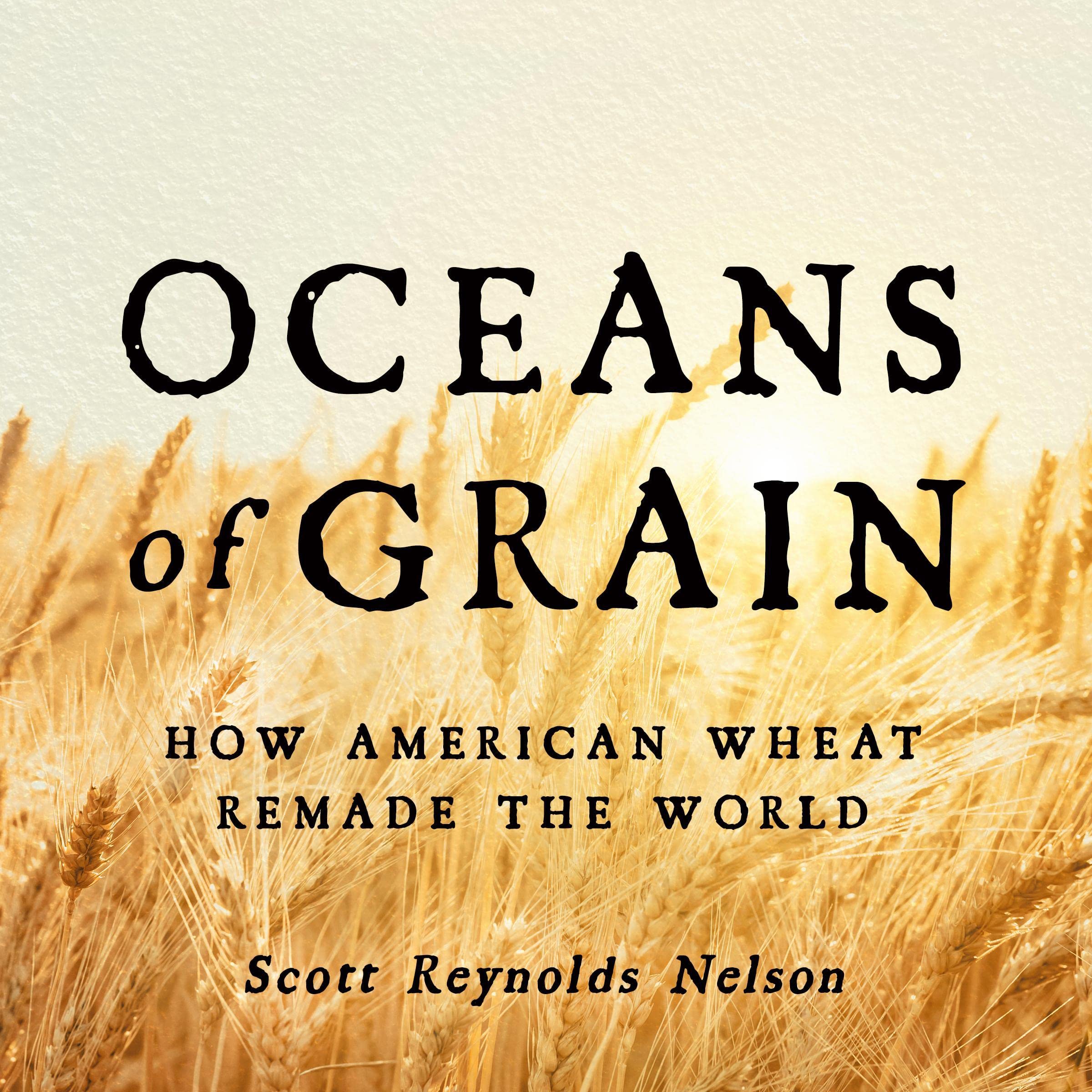Cover art for Oceans of Grain