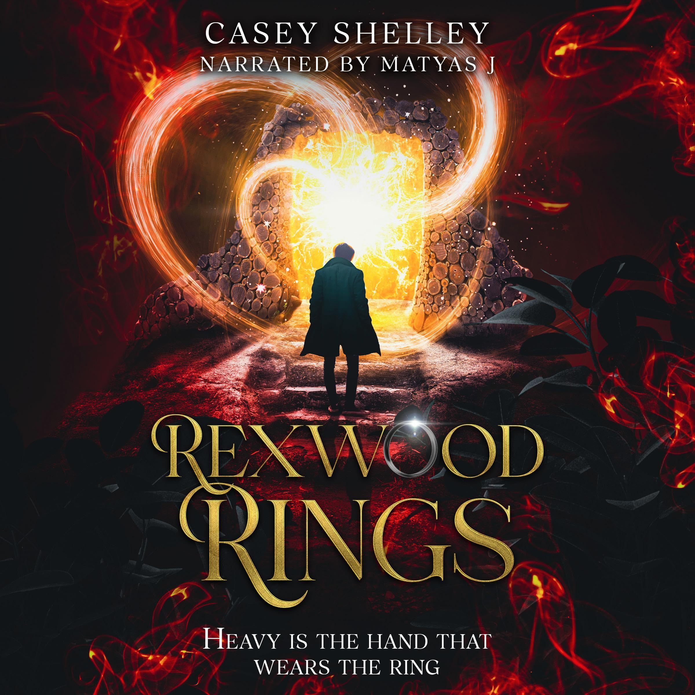 Cover art for Rexwood Rings