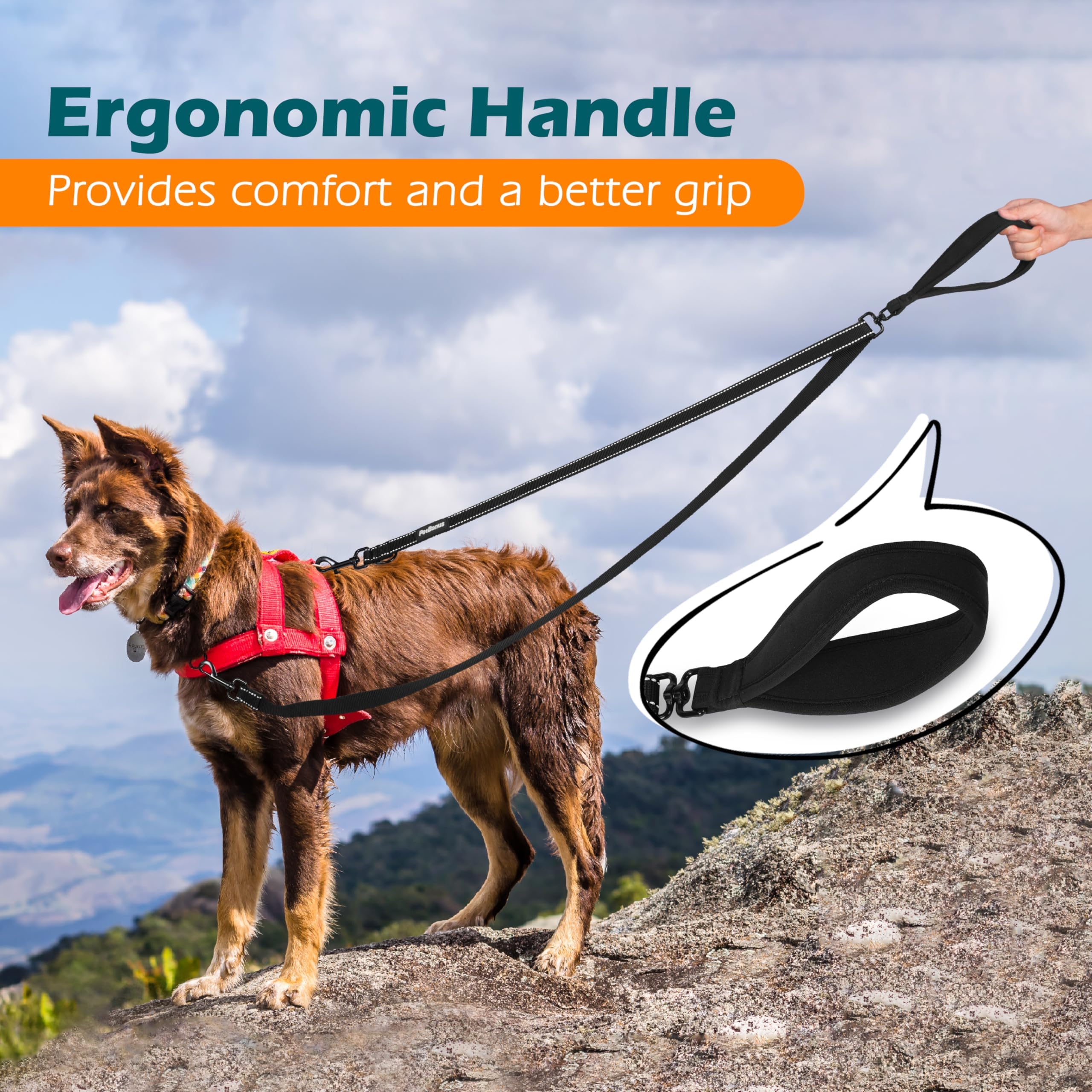 Zugstopp Halsband Hunde Groe Hunde 1.5 M Anti-Zieh Geschirr fr Mittlere  Hundeleine Doppelleine fr Reflektierend Hundeleine zum Trainieren und  Gassi ...