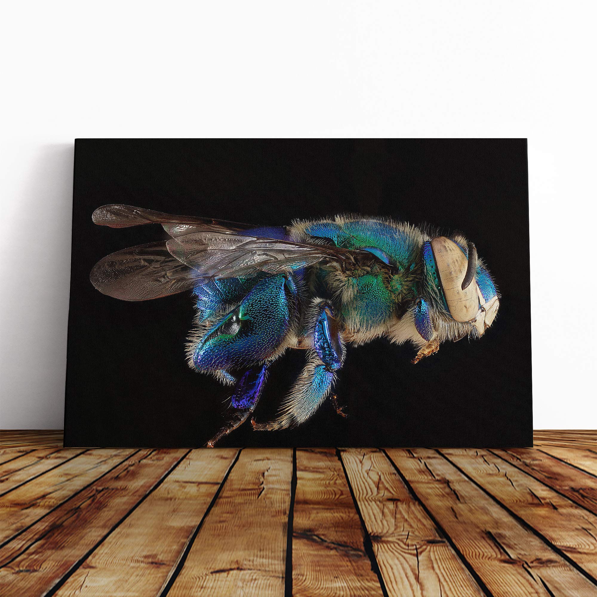 Blue Orchid Bee Macro Canvas Print | Gallery Wrapped 30mm Frame Wall Art | 30x20 inches | Ready to Hang | Modern Animals Picture | Living Room Bedroom Lounge Office