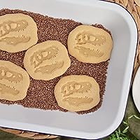 Vista 4 de T-Rex Skull Fossil cortador de galletas, 1 pieza - Bakerlogy