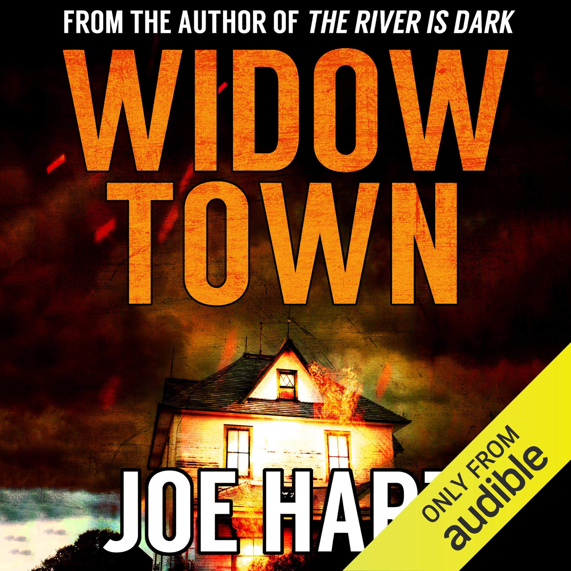 Cover art for Widow Town