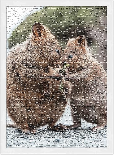 Miniatura 4 de Poster Palooza Marco para rompecabezas de 26.5 x 38.5 pulgadas, marco de madera blanco hecho para mostrar rompecabezas de 26.5 x 38.5 pulgadas con