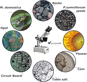 VMS0002-LD-24 Binocular Stereo Microscope, 10x Widefield Eyepiece, 2X and 4X Objectives, 20x and 40x Magnification, Top and Bottom LED Illumination, Post-Mounted Stand, 110V
