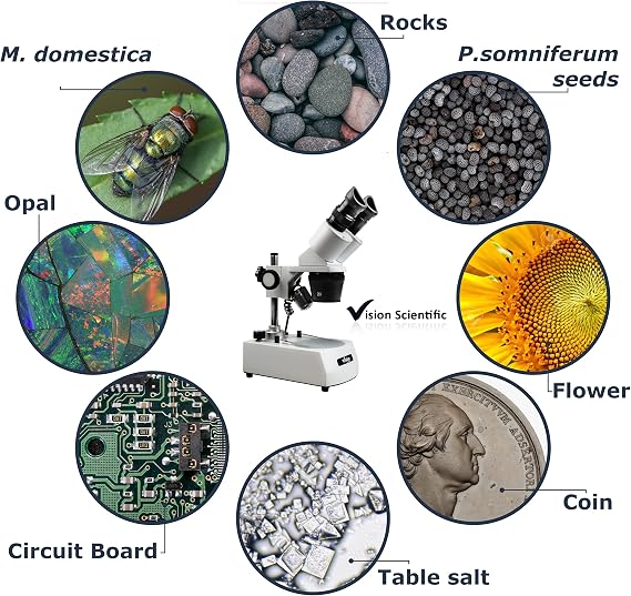 VMS0002-LD-24 Binocular Stereo Microscope, 10x Widefield Eyepiece, 2X and 4X Objectives, 20x and 40x Magnification, Top and Bottom LED Illumination, Post-Mounted Stand, 110V
