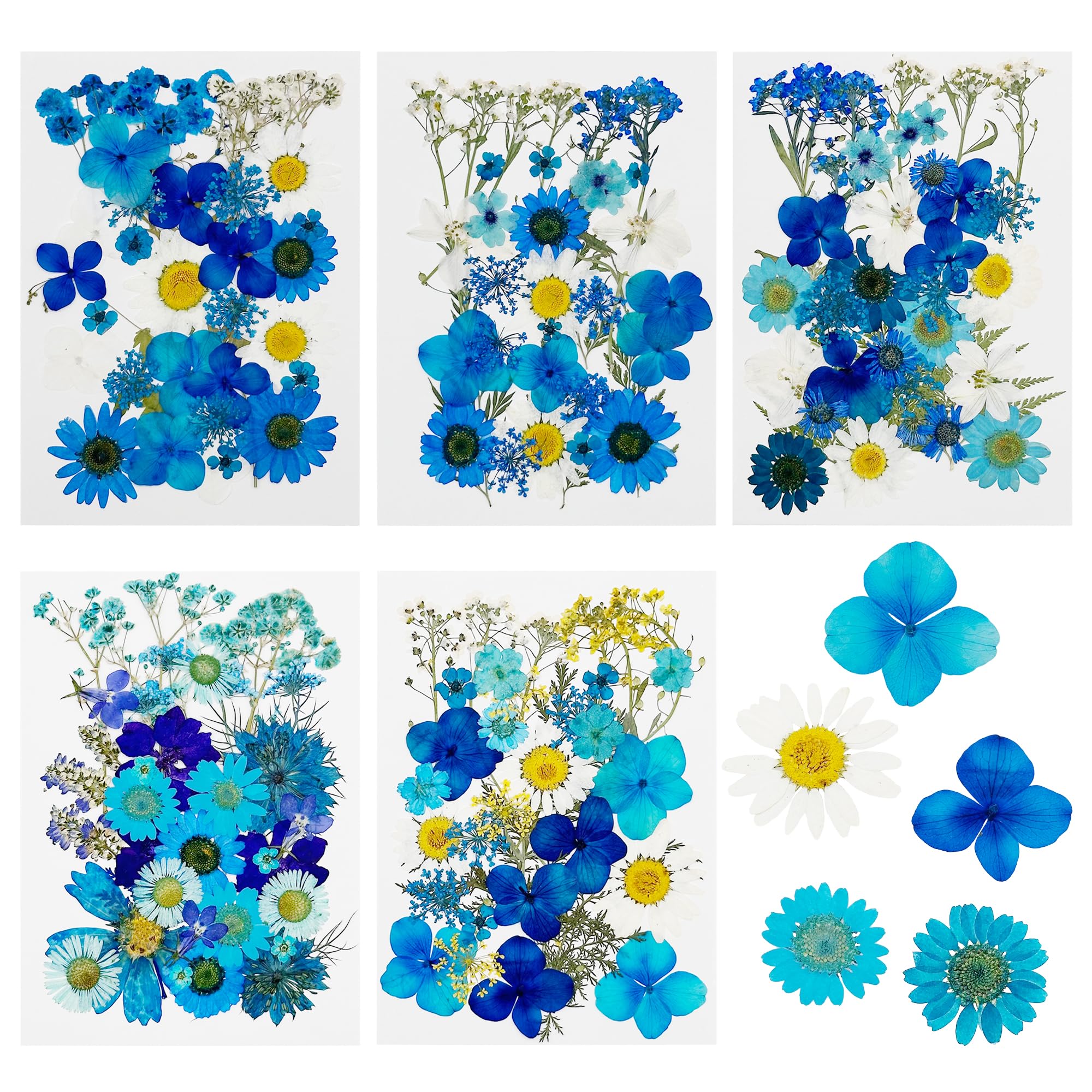 Cayway 170 PCS Dried Pressed Flower, Pressed Flowers and Leaves for Resin, Real Nature Pressing Floral Leaves for DIY Craft, Jewelry Making, Candle Scrapbooking Supplies, Blue