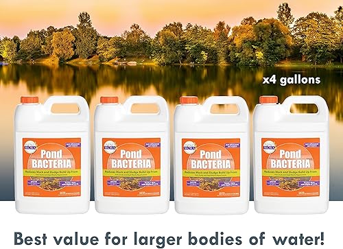 Vista 21 de Pondworx Pond Bacteria - Concentrado y formulado para características del agua - Seguro para Koi - 16 onzas y trata hasta 2,500 galones de agua