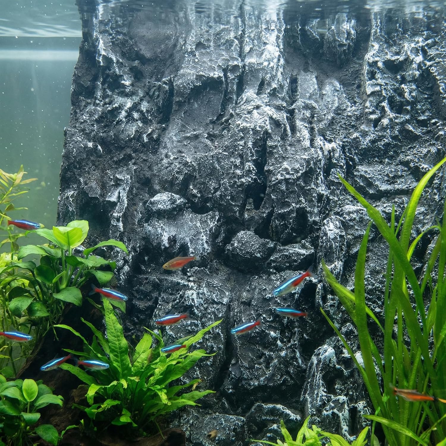 Toddmomy Rock Terrarium Background 3D Reptile Habitat Backgrounds, 17.7x11.8in Decorative Backdrop for Tanks Bearded Dragons Lizard Gecko Spider Chameleon Turtle Fish