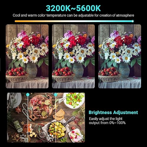 Miniatura 4 de Luz de video LED ultra brillante 3200-5600K para Canon EOS R100 R50 M50 M6 Mark II Sony ZV-1 II ZV-E10 A7C II A6600 A6500 Fujifilm X-S20 X-T200