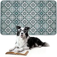 Vista 62 de FXW Almohadillas lavables para orina para perros, almohadillas para cachorros con súper absorbentes, diseñadas específicamente para FXW