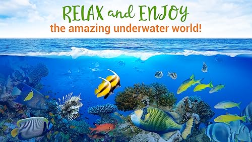 Calm Sea Life - Vídeos de Aquário e Relaxamento Subaquático