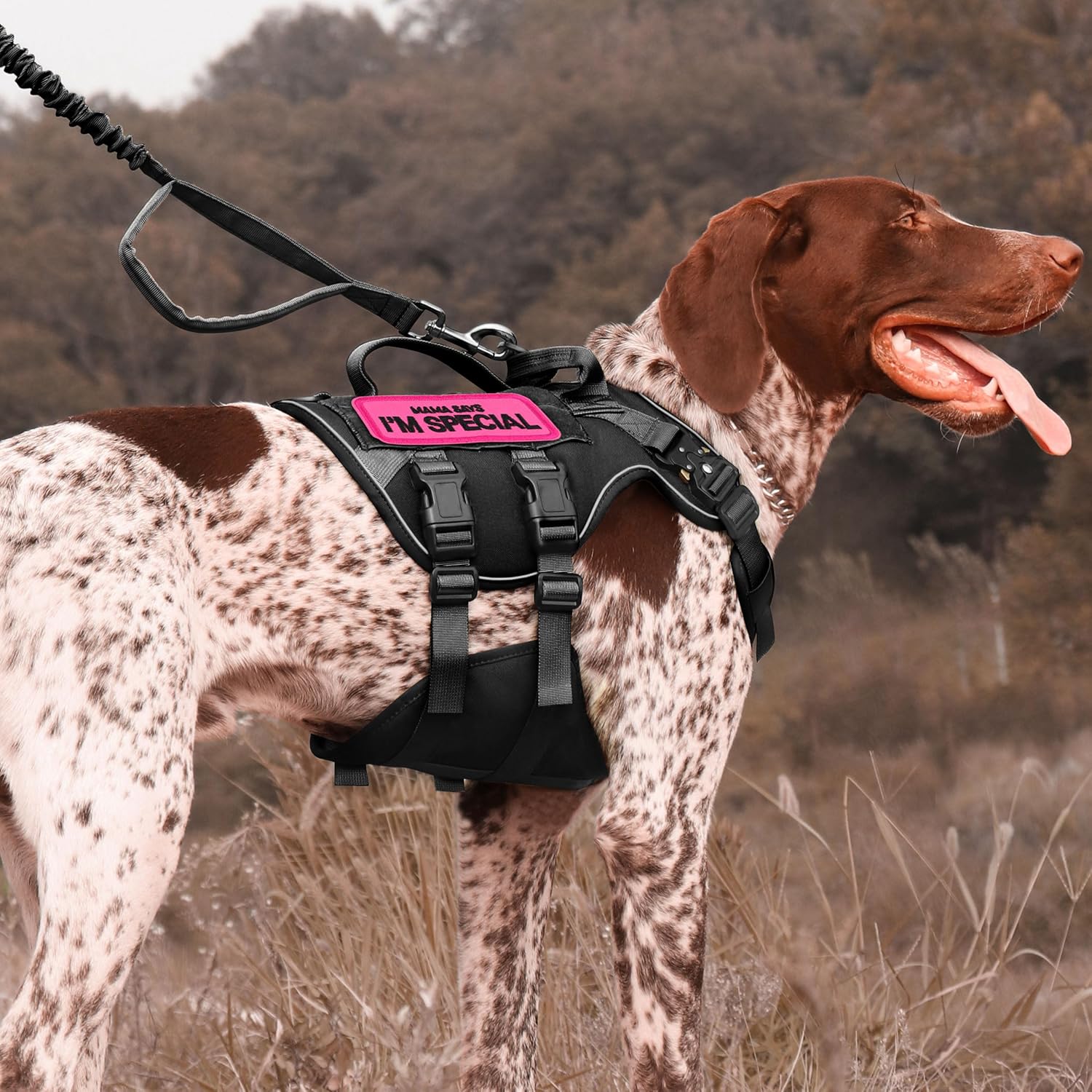 Forestpaw Tactical Dog Harness, Collar, Leash, Backpack & Service Dog Patches for Large Dogs Training