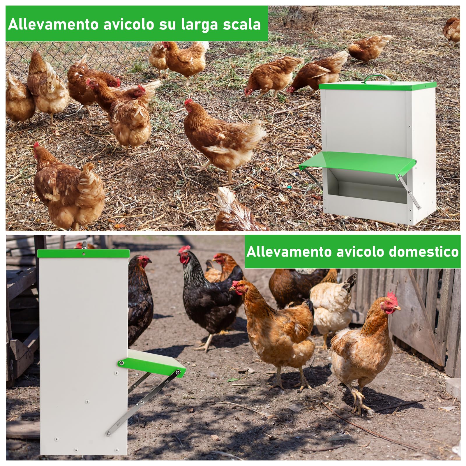 Mangiatoia Automatica Per Polli da 11 Kg Mangiatoia Per Pollame a Parete,Mangiatoia Per Pollame Senza Rifiuti,Mangiatoia Antipioggia Per Esterni Per Impieghi Gravosi Per Polli,Anatre,Tacchini D'Oca