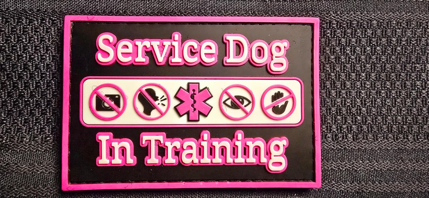 Service Dog in Training Patch PVC Rubber Glow in The Dark Medical Alert Sign do not Touch Look Speak take Pictures ada Guide Therapy Companion k9 Police Handler Velcro-Compatible (Blue) image 4