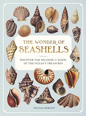 The Wonder of Seashells: Discover the Meaning & Magic of the Ocean’s Treasures