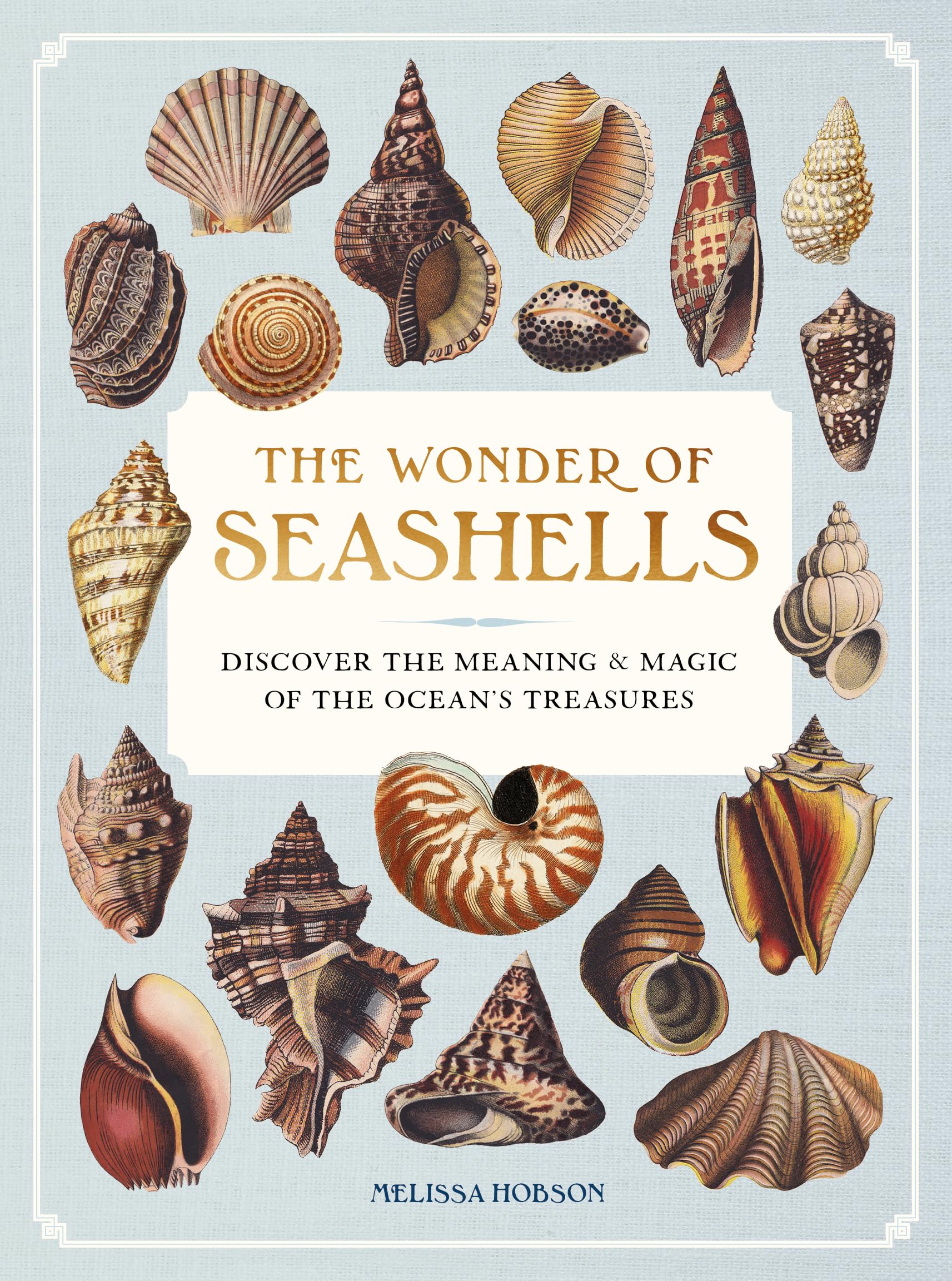 The Wonder of Seashells: Discover the Meaning & Magic of the Ocean's Treasures