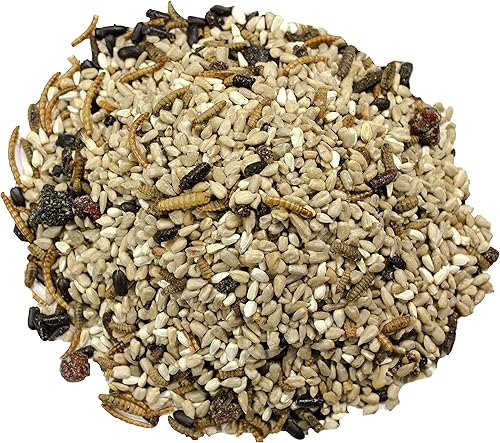 Miniatura 2 de Wild Delight 099127 Bugs N' Berries - Alimento para pájaros silvestres, 4.5 libras (paquete de 2)