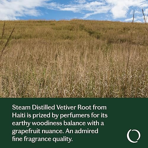 Miniatura 3 de LIVEDROPS 247 Well-Feeling - Aceite esencial de vetiver equilibrado, aroma de anclaje de vetiver, fabricado en Francia, puro y natural,