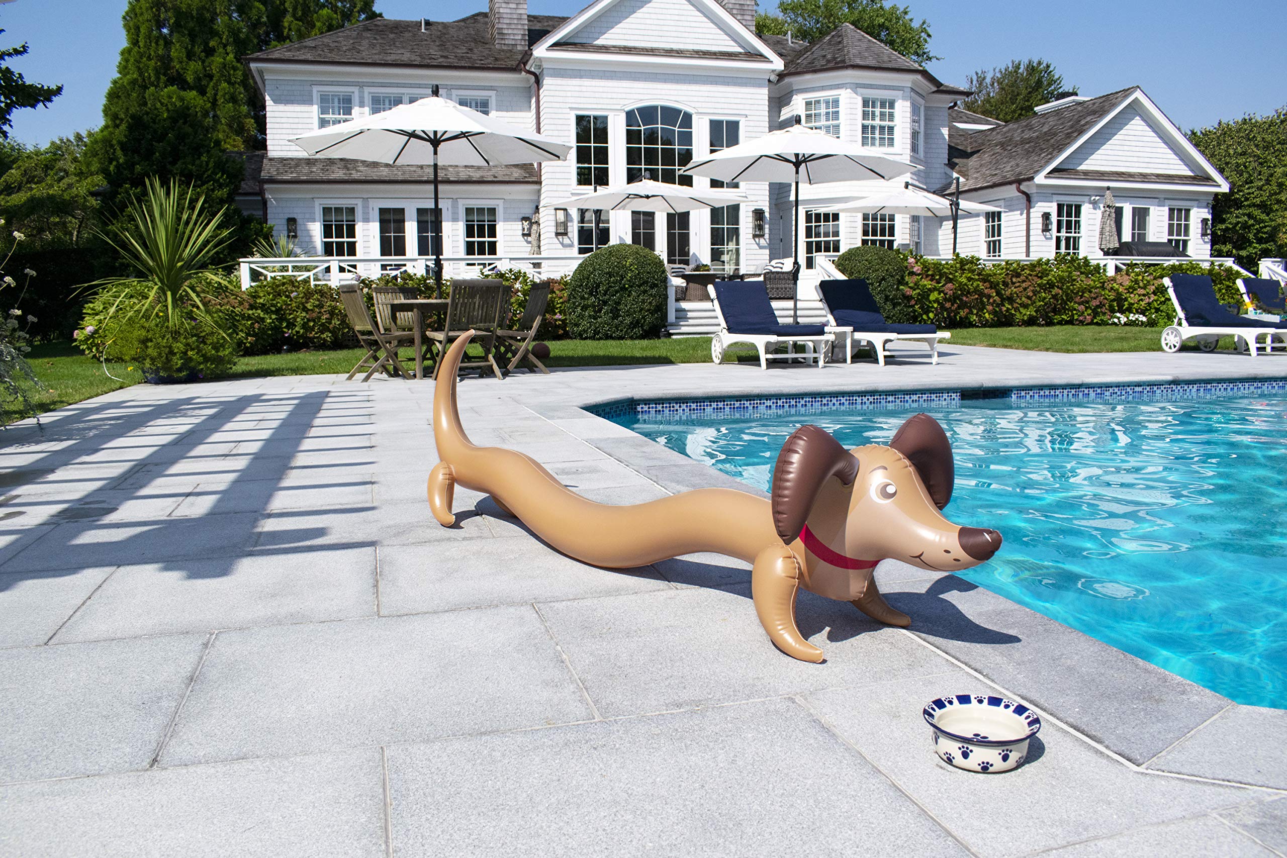 Amazon.co.jp: Swimline 90084 わんちゃんの落書き 72インチ×5