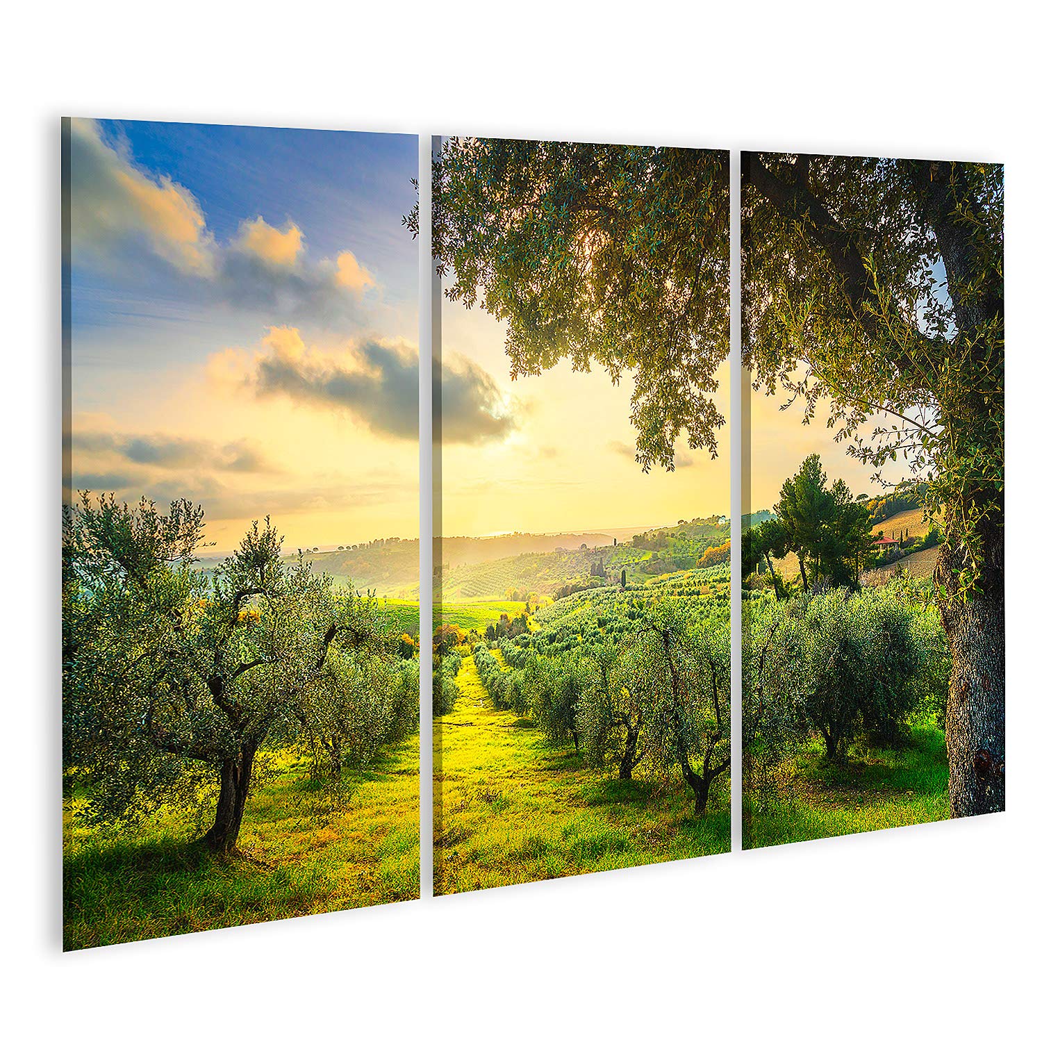 Tableau Tableaux Panorama de la campagne de la Maremme et des oliviers au coucher du soleil Casale Marittimo Pise Toscane Italie Cadre sur Toile Impression Photo Affiches