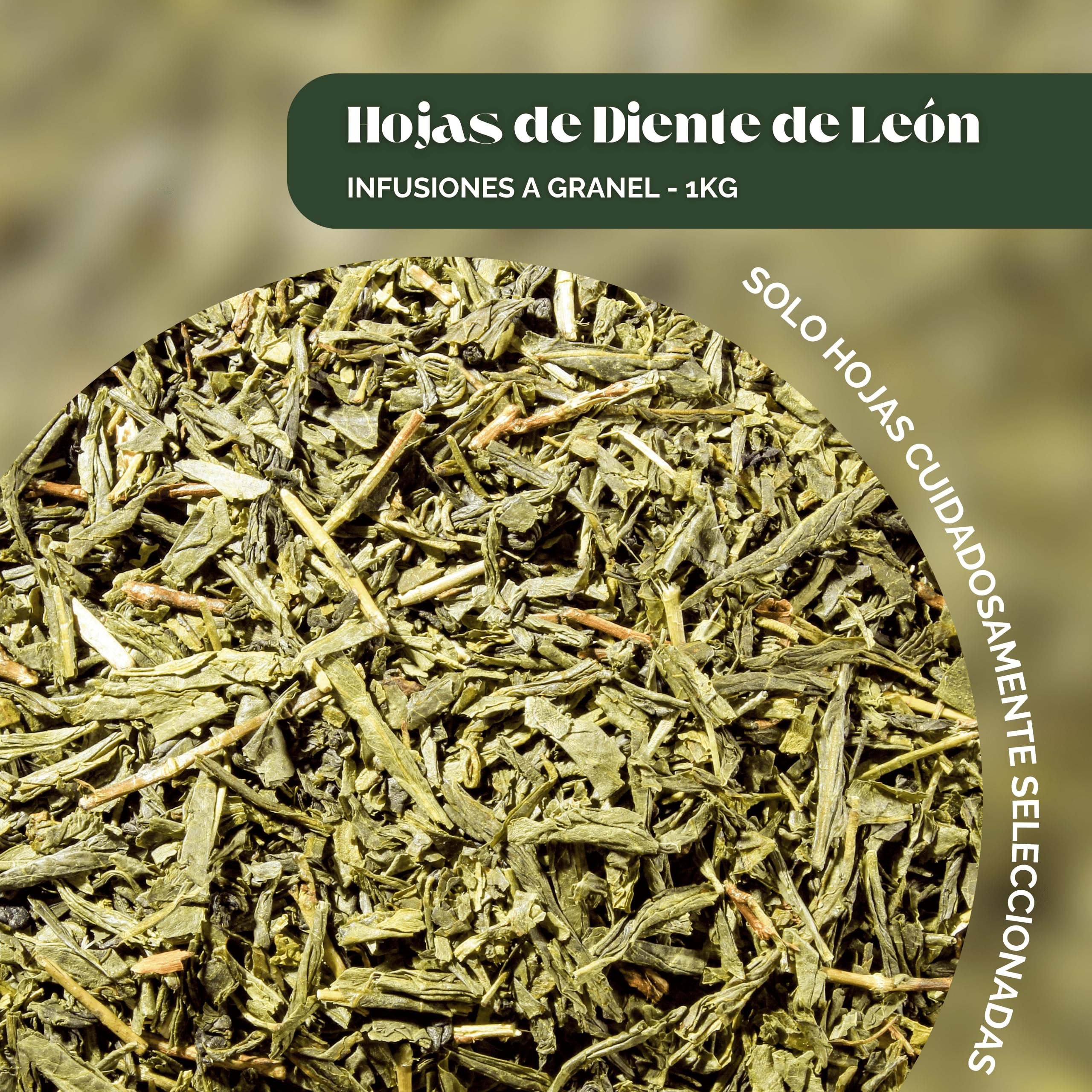 Bioky Pissenlit 1kg – Plante Séchée Naturelle pour Infusion Détox