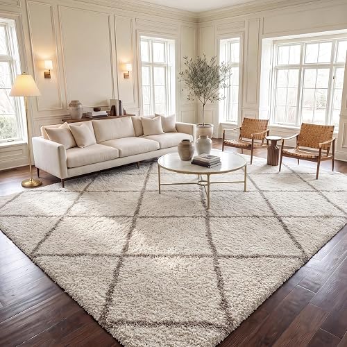 SAFAVIEH Hudson Shag Rug 9'x12', Soft Plush Moroccan Ivory & Beige SGH281D