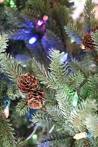 Miniatura 20 de Fraser Hill Farm Árbol de porche de 3 pies con luces LED multicolor Luces LED multicolor,Luces LED de color blanco cálido