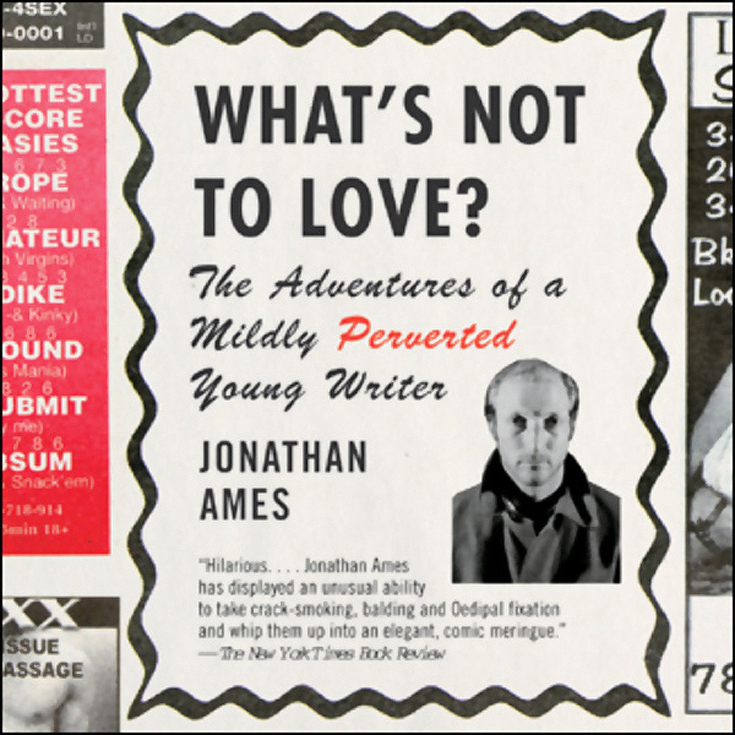 Cover art for What's Not to Love?