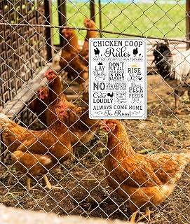 Funny Chicken Decor Chicken-Coop Rules Tin Sign for Home Farm Chicken Coop Farmhouse Kitchen Garden Decor 8 X 12 Inch(3107)