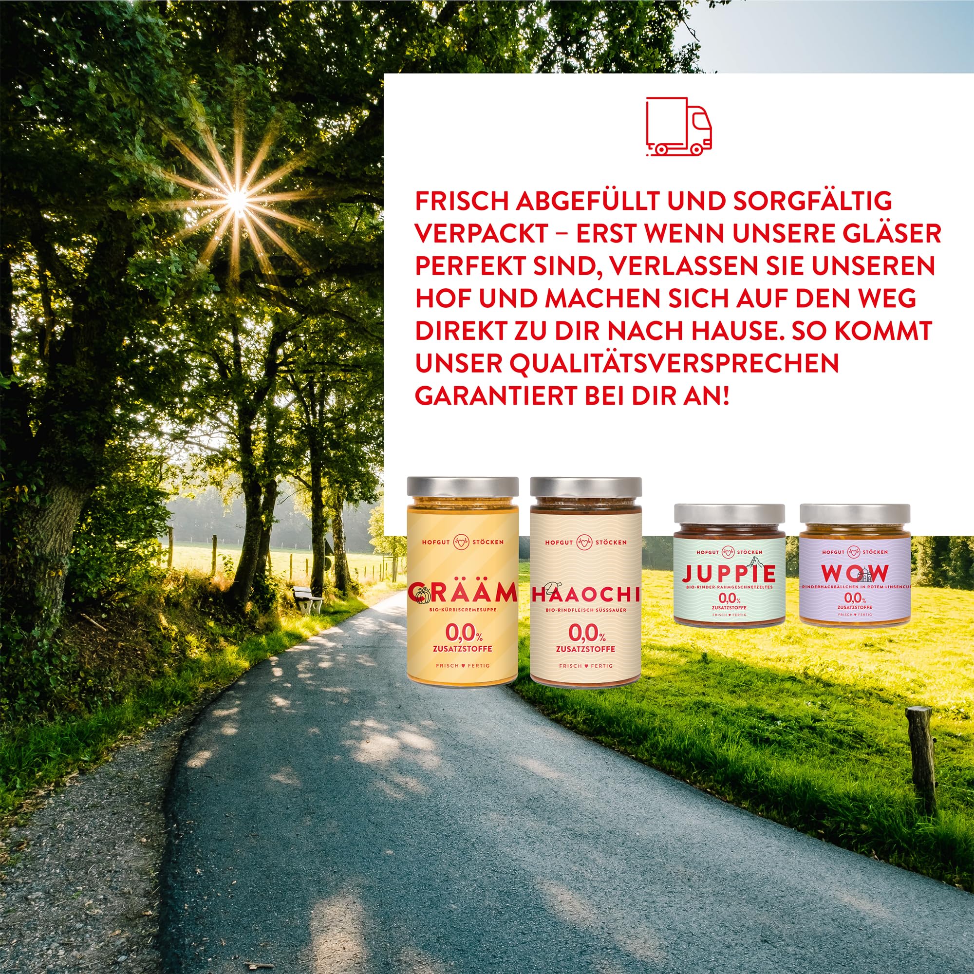 Probierpaket 6 Bio-Fertiggerichte im Glas (6x 620ml)