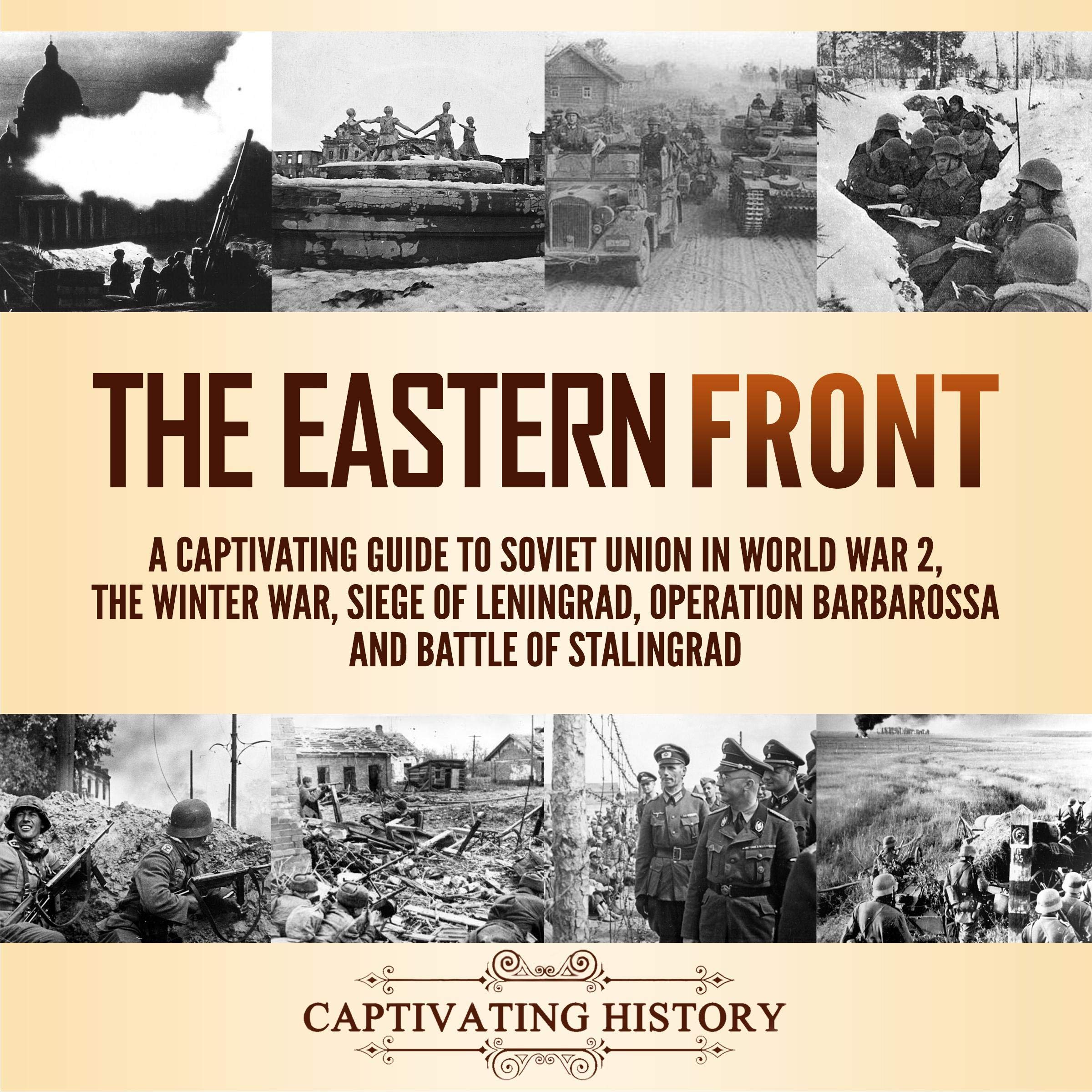 Cover art for The Eastern Front