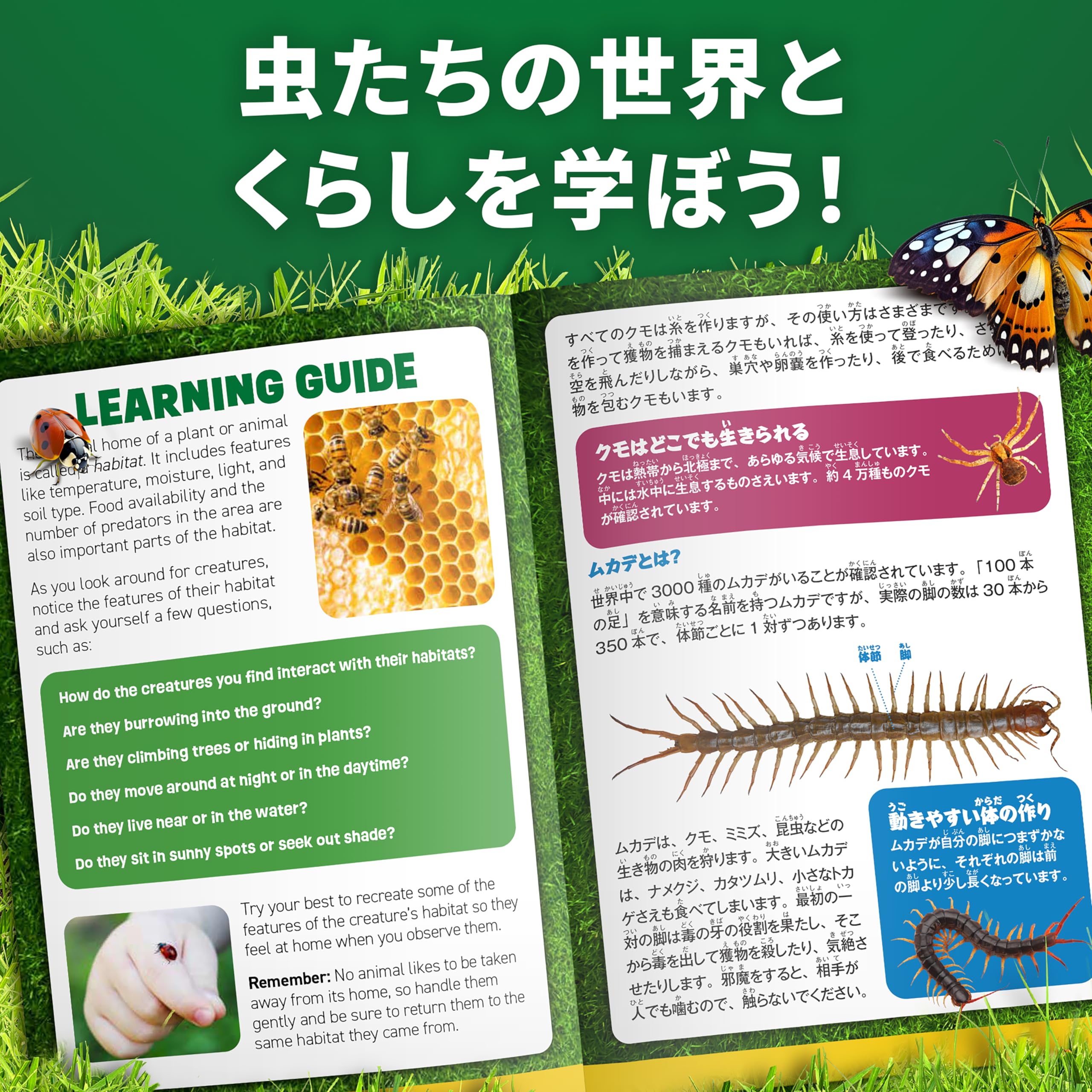 Amazon | ナショナルジオグラフィック 虫かご 昆虫採集セット 虫取り